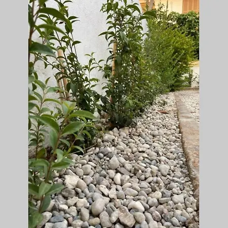 アパート Beautiful With Private Garden!