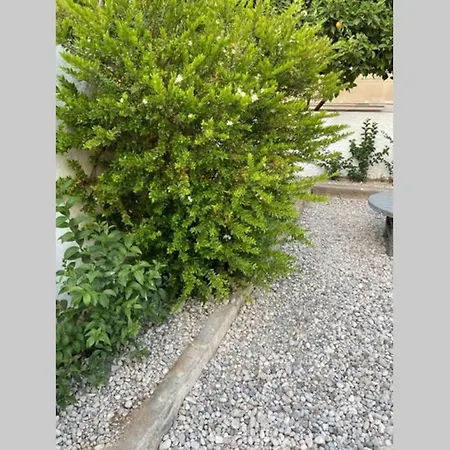 Beautiful With Private Garden!